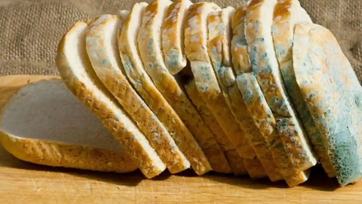 Cara Menyimpan Roti agar Tidak Cepat Berjamur dan Berbau