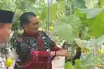 20241125_Pj-Gubernur-Kaltim-Akmal-Malik-saat-panen-buah-melon-hidroponik.jpg