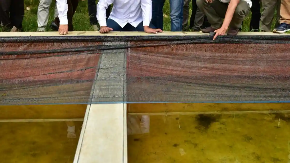 Petani Ikan di Bogor Keluhkan Modal Usaha ke Ridwan Kamil
