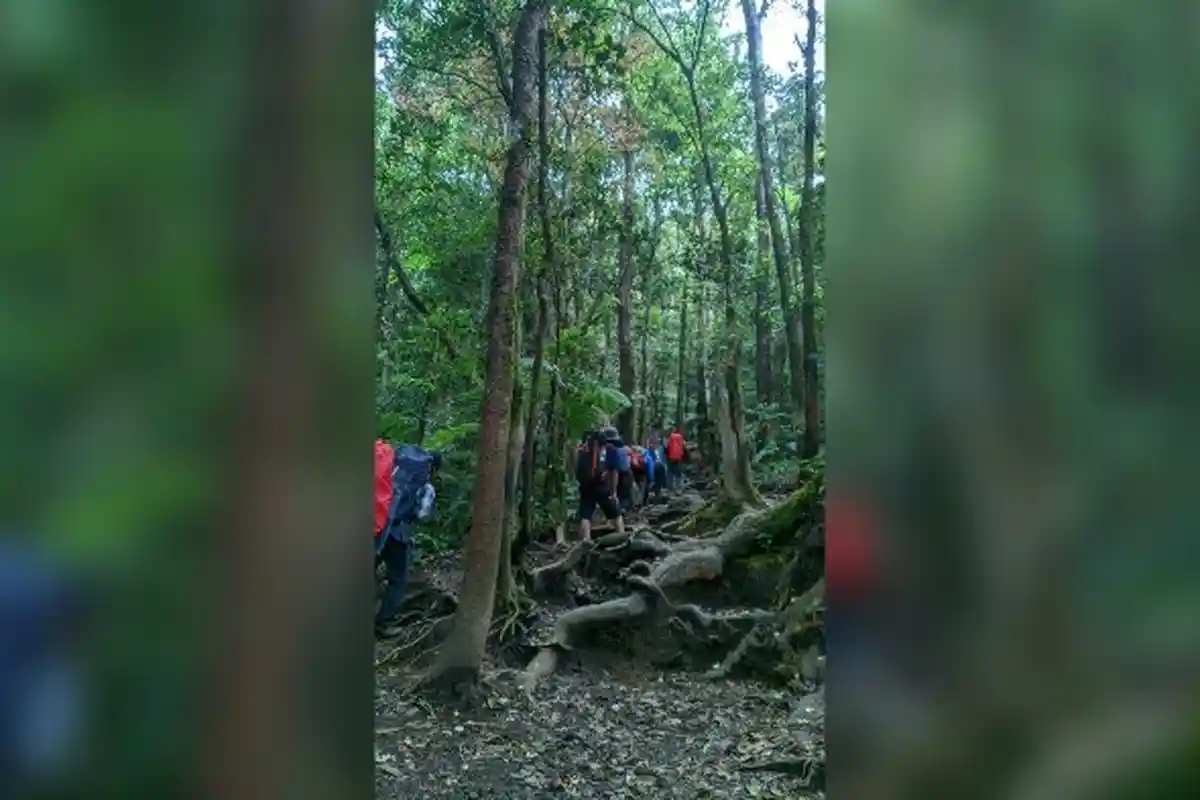 Ramai Dikabarkan Erupsi, Begini Kondisi Gunung Gede Pangrango Usai Gempa Cianjur