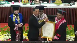 stain-majene.jpg