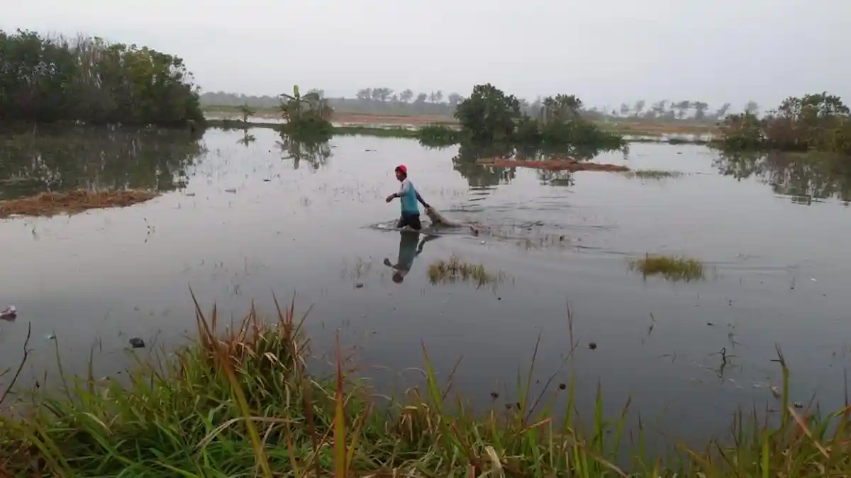 Total 40 Hektare Lahan Pertanian di Bantul Terendam Air