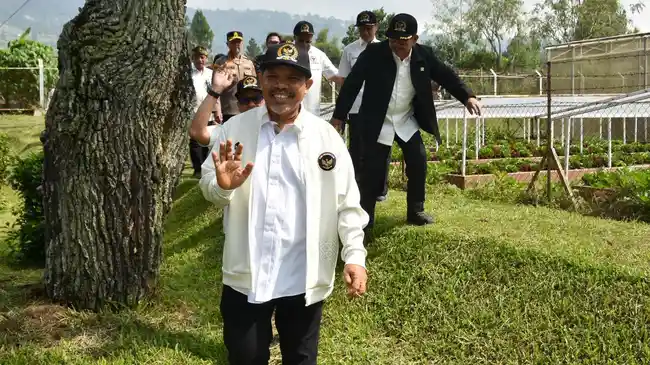Johan Rosihan Dorong Indonesia Stop Impor Bawang Putih, harus Kembali Swasembada