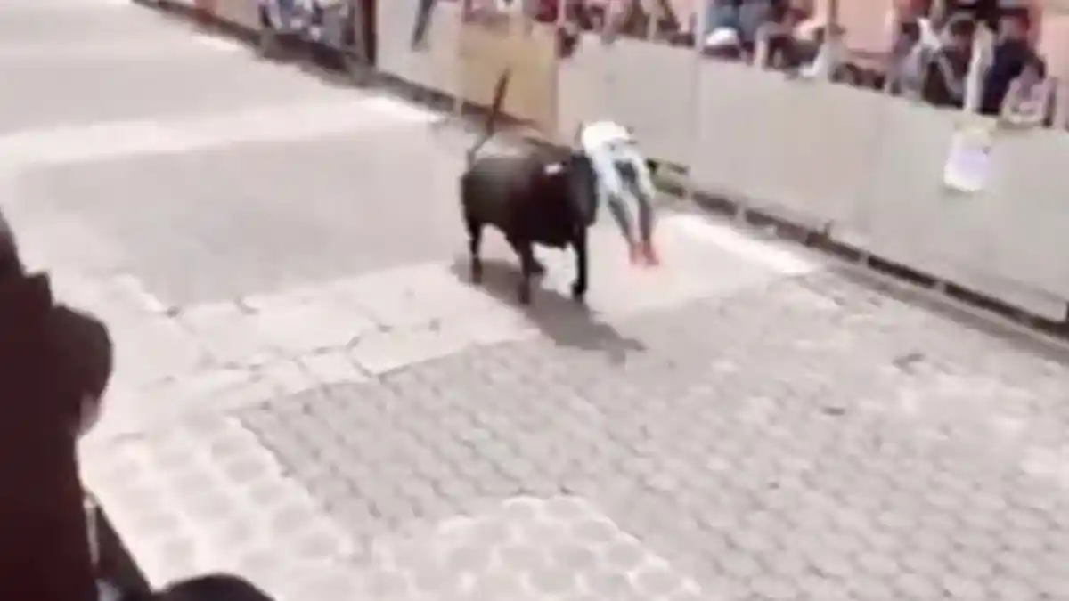Setelah Diseruduk, Tubuh Pemuda Meksiko Ini Dilempar ke Udara oleh Banteng