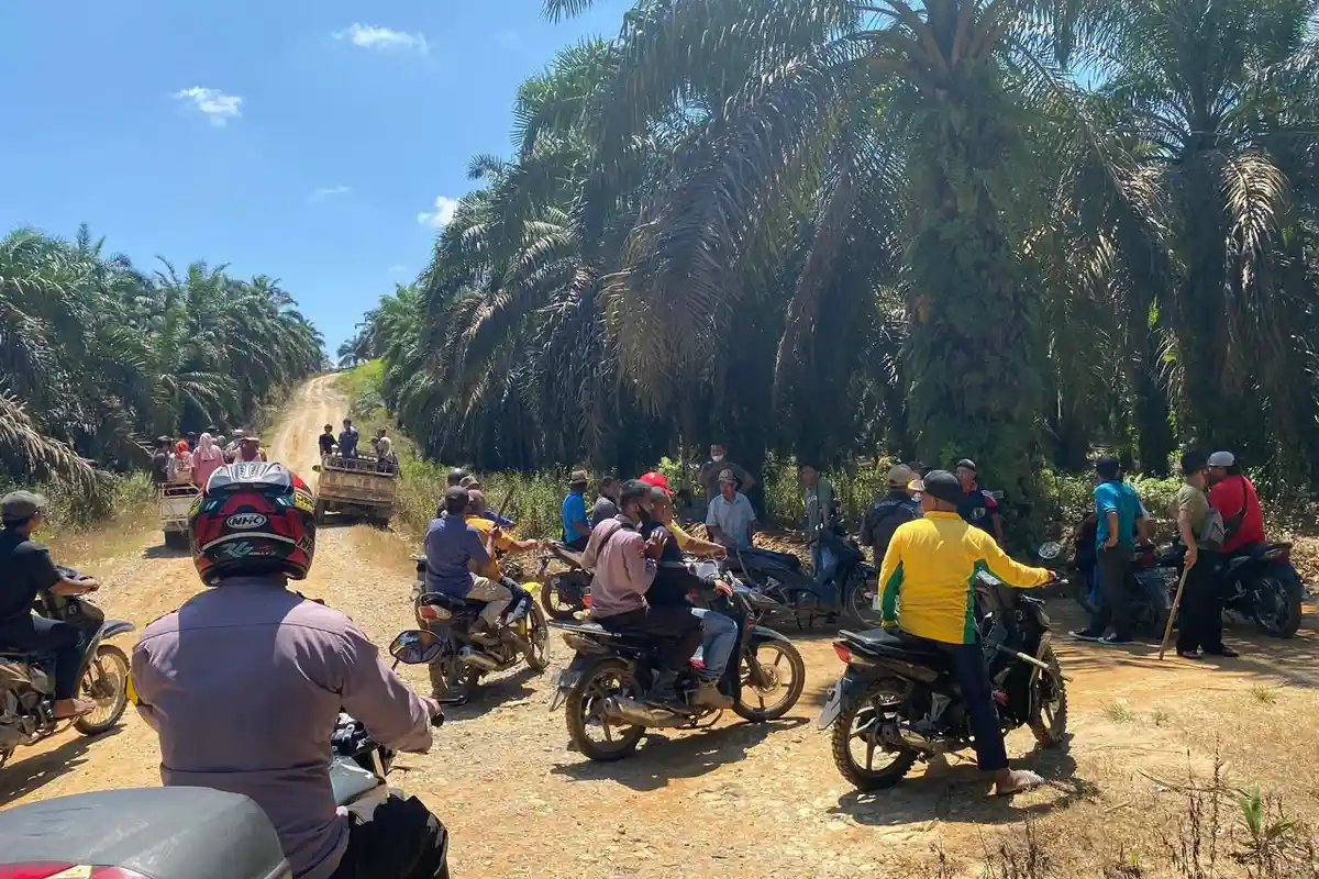 Camat Tebo Ilir Paparkan Awal Bentrok Suku Anak Dalam vs Sekuriti Perusahaan di Areal PT Makin Group