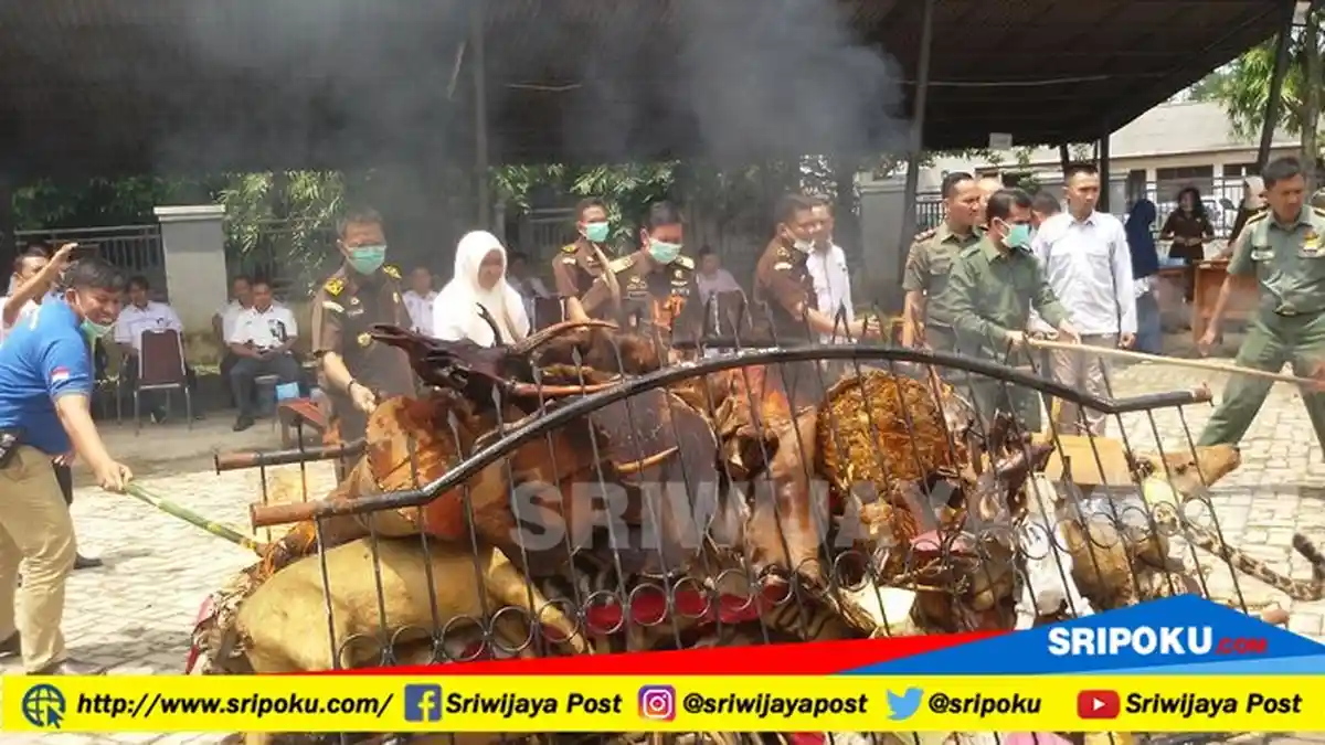 Harimau Sumatera, Macan Tutul, Rusa, dan Kambing Hutan Dimusnahkan dengan Cara Dibakar