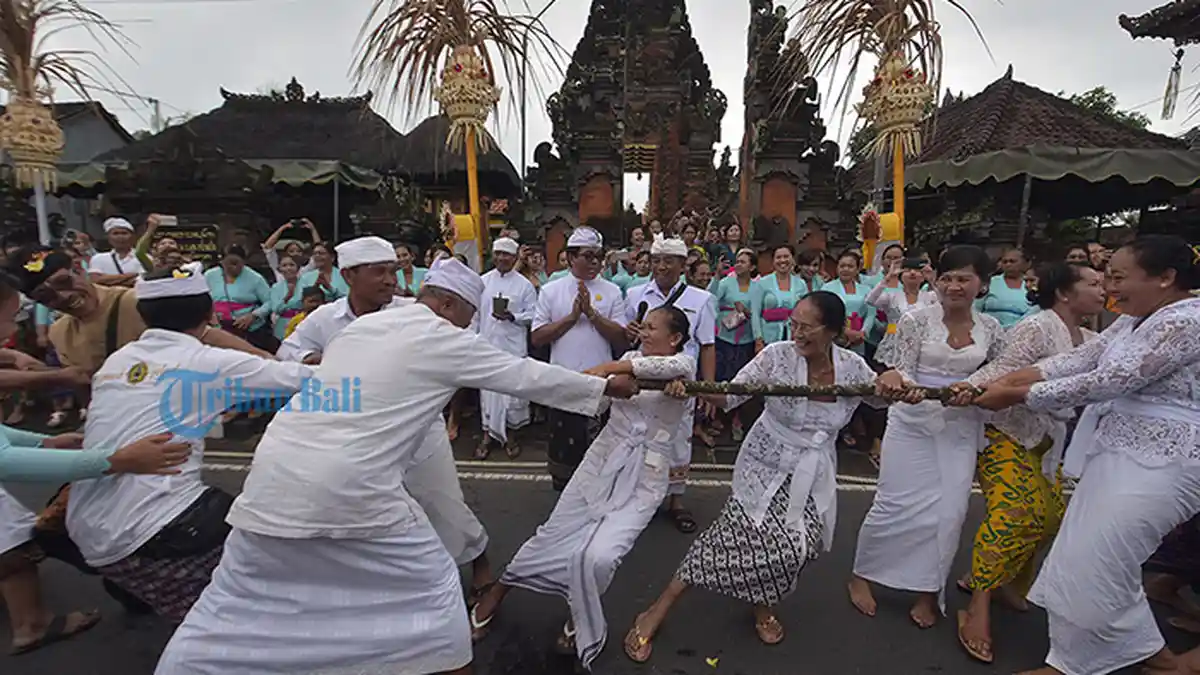 Cegah Penyebaran Covid-19,Tradisi Mbed-mbedan Di Kelurahan Abianbase Mengwi Batal Dilaksanakan