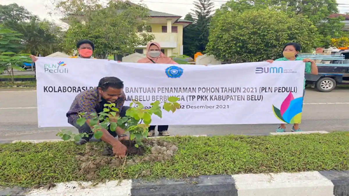 BELU BERBUNGA Jadi Program Kolaborasi Tim Penggerak PKK Kabupaten Belu dengan PLN Atambua