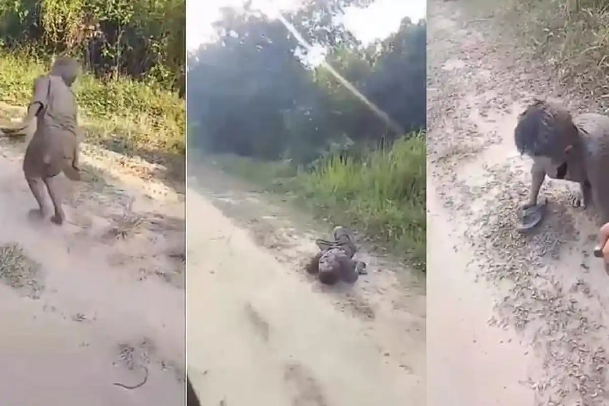 Mengenal Arak Madu Miras yang Bikin Bocah di Kalteng Berakhir Miris, Lebih Kuat dari Cap Tikus