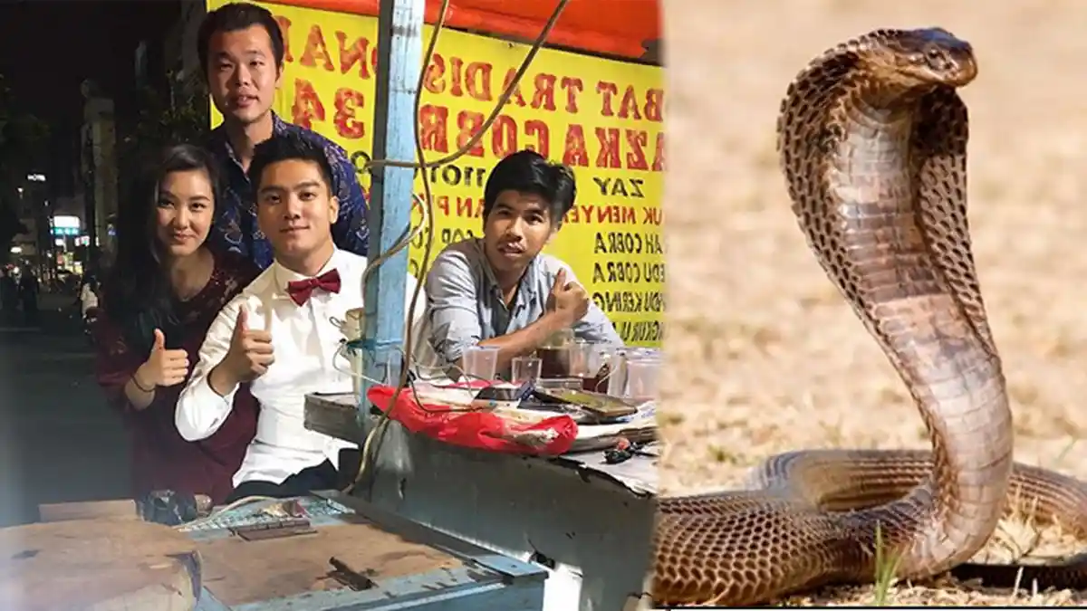 Boy William dan Kekasih Minum Darah Ular Kobra, Intip Bahaya Sekaligus Manfaatnya Menurut Medis !