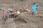 Pencarian Bapak dan Anak Korban Longsor Pemalang Ditutup Hari Ini, Hamim Ditemukan Meninggal