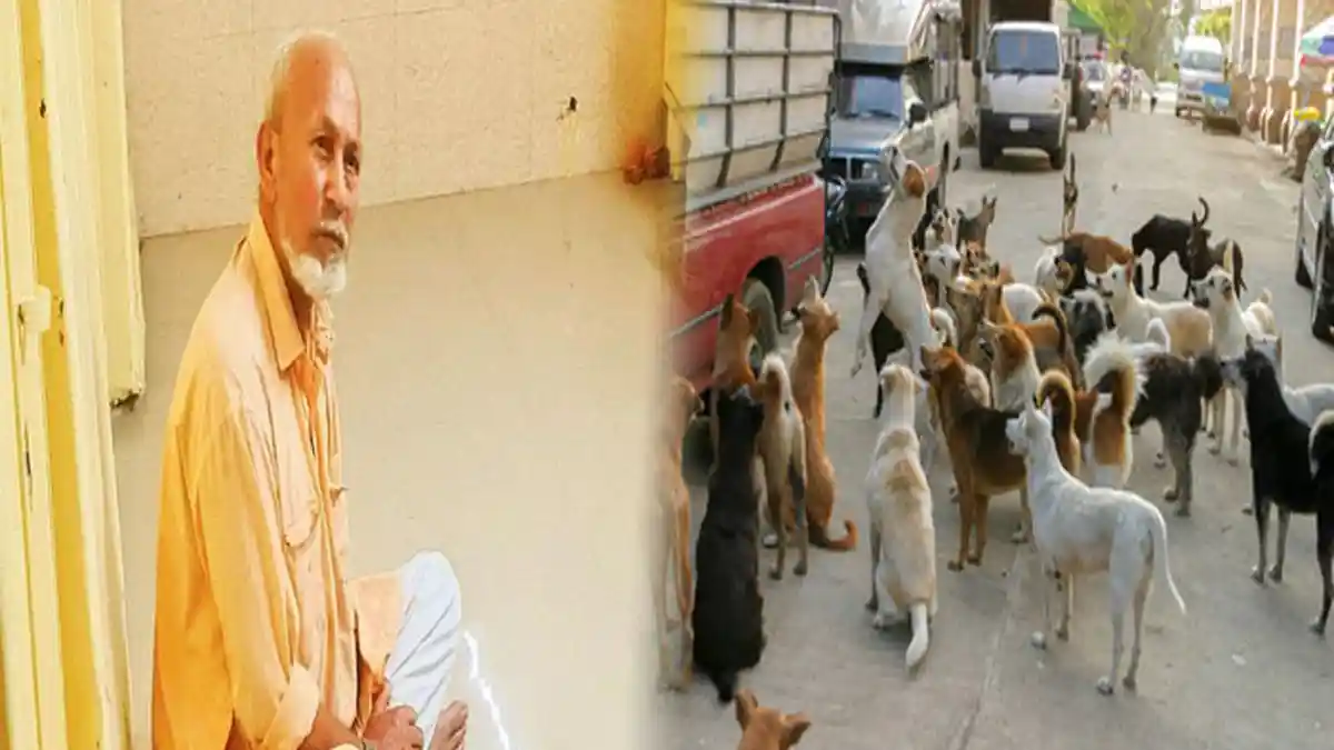 Bejat! Tukang Sayur Tua Ini Perkosa 30 Ekor Anjing Liar, Netizen Kecam Aksi Biadabnya