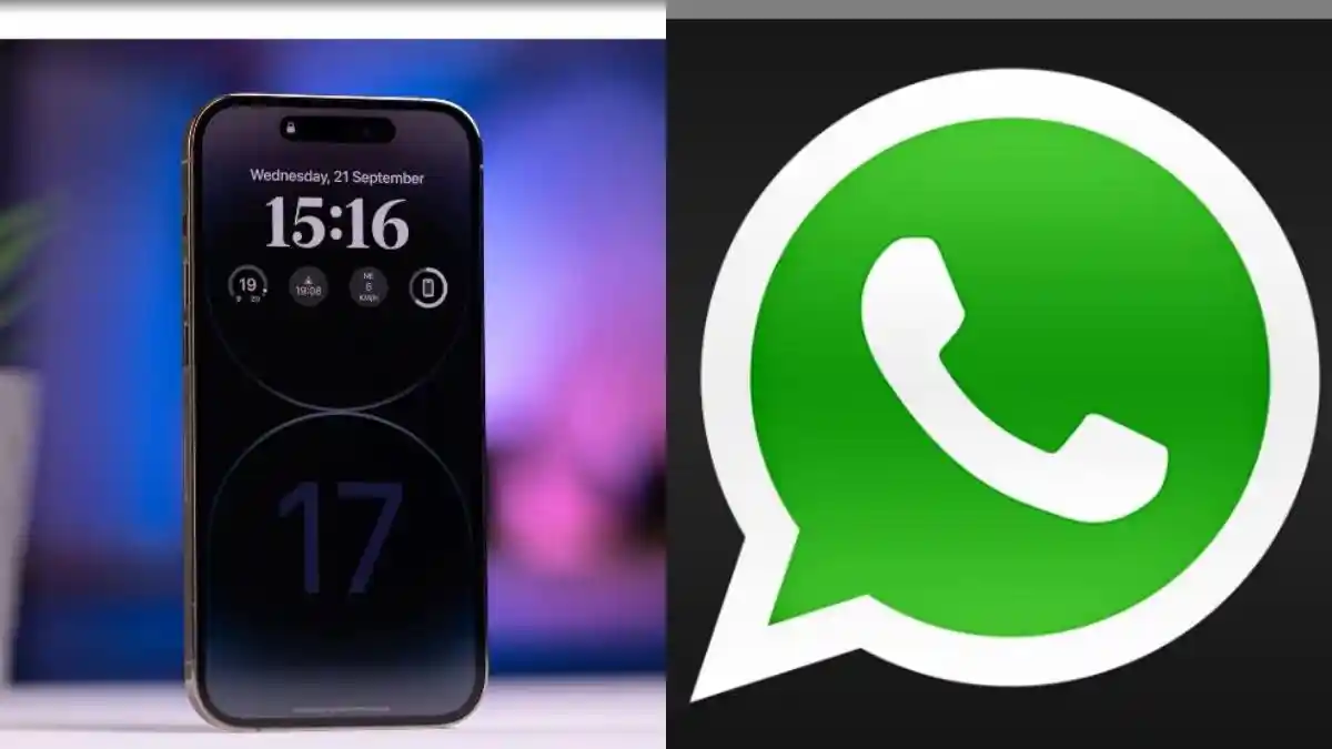 Simak Tutorial Mencadangkan Chat WhatsApp di iPhone, Ikuti Langkahnya, Dijamin Mudah dan Lancar