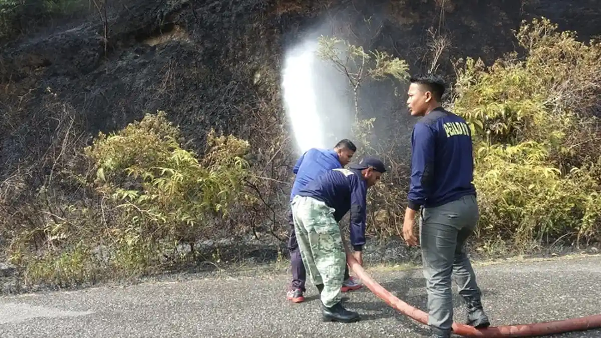 500 Meter Lahan di Aceh Jaya Kembali Terbakar, Penyebabnya belum Diketahui