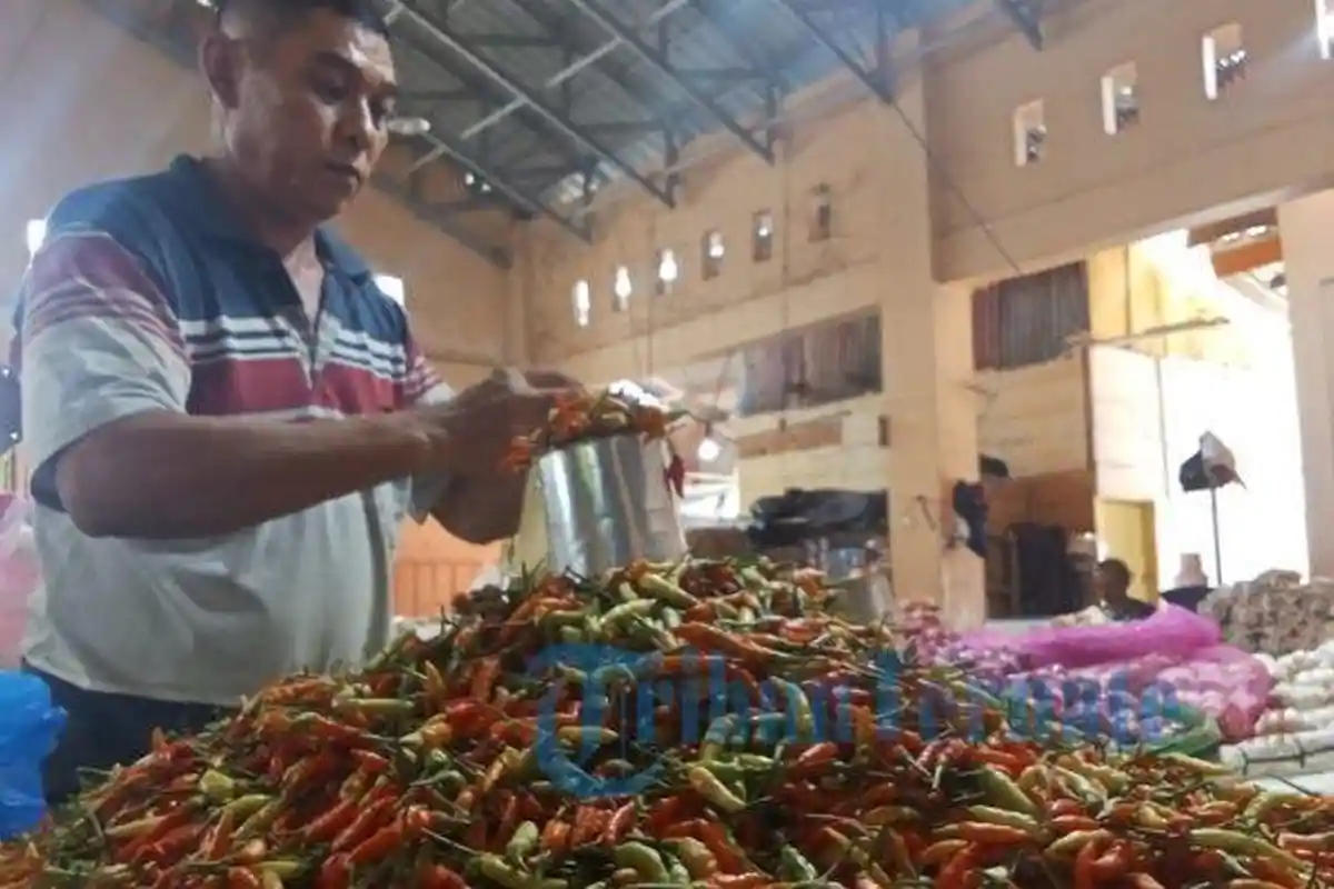 Harga Bapok di Pasar Tradisional Bobong Taliabu, Rabu 12 Februari 2025: Cabai Rp 80 Ribu per Kg