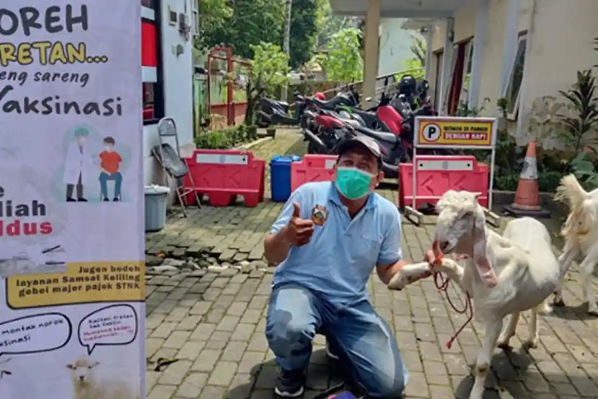 Pancing Minat Masyarakat, Vaksinasi Covid-19 di Lumajang Berhadiah Kambing
