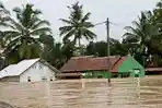 Banjir Besar Melanda Suka Menang Muratara, BMKG Ungkap 4 Faktor Penyebab Terjadinya Banjir