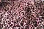 Harga-bawang-merah-tembus-Rp-55-ribu-per-kilogram-di-pasar-tugu.jpg