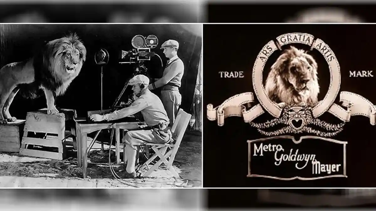 Fakta-fakta dibalik Sosok Singa yang Mengaum di Setiap Film MGM