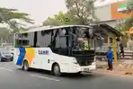 Bus-Damri-Indonesiaaa.jpg
