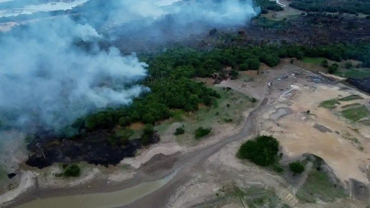 Hutan Amazon Dilanda Kekeringan Parah, Ratusan Ribu Orang Terdampak, Ikan-ikan Mati