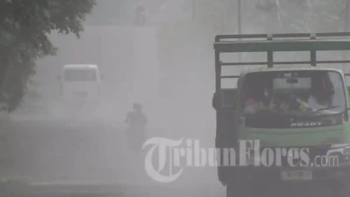 Abu Vulkanik Gunung Lewotobi Laki-laki, Ganggu Jarak Pandang Pengguna Jalan Trans Flores