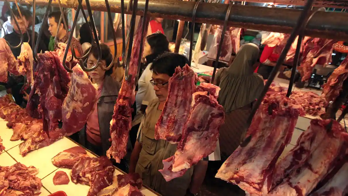 Tingkatkan Swasembada Daging Pemerintah Kerjasama dengan Australia