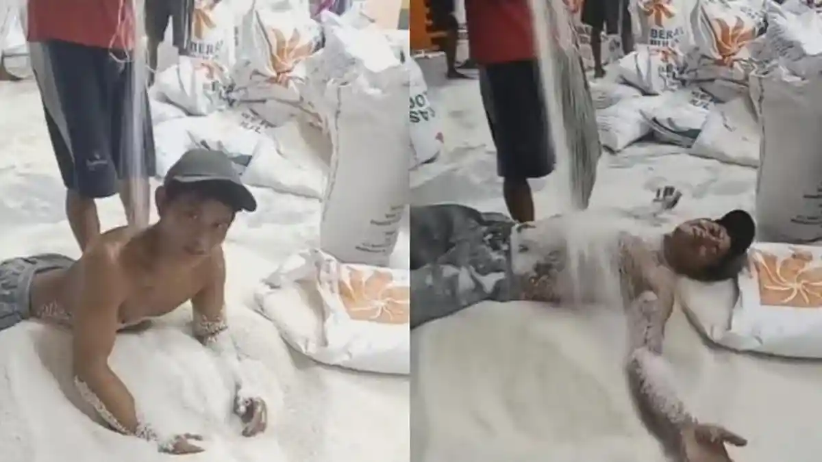 Viral Pria Tak Pakai Baju Berguling-guling di Atas Tumpukan Beras Bulog, Aksinya Tuai Kecaman
