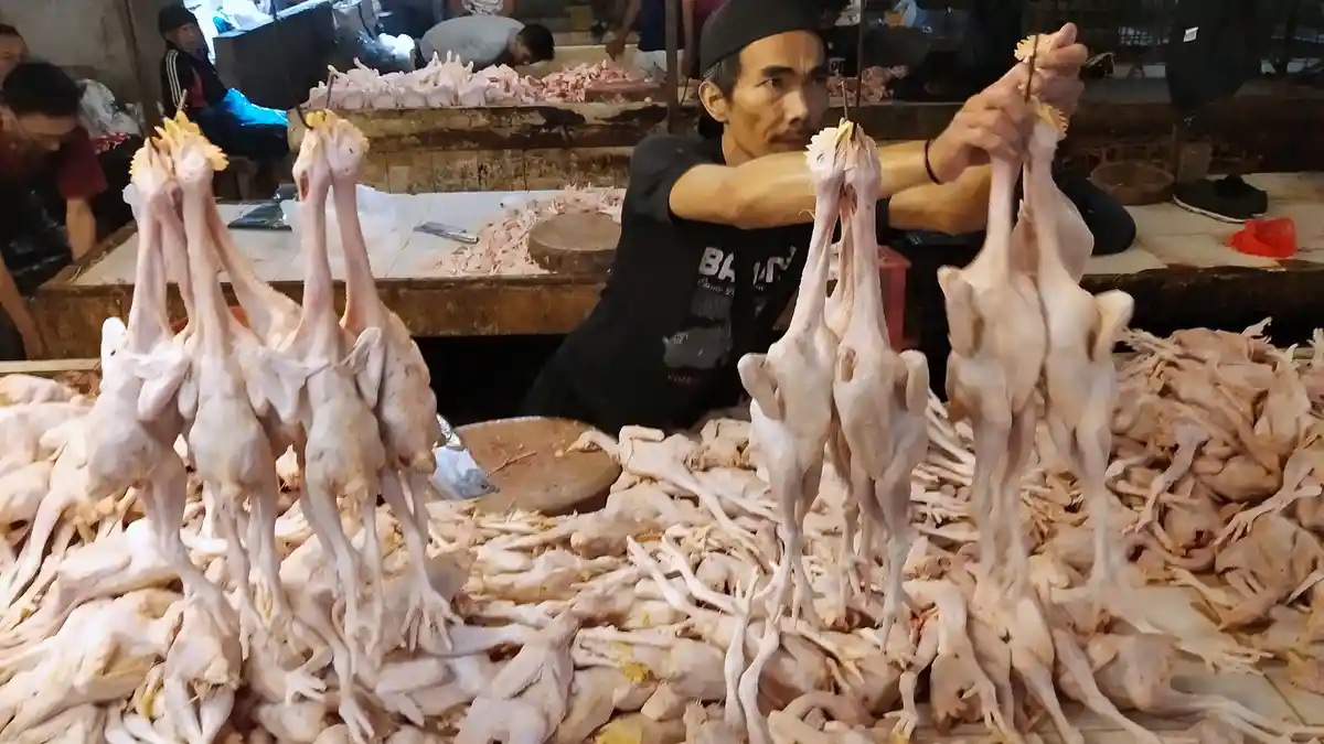 Update Harga Pangan Per 11 Desember: Daging Ayam Melonjak Rp35.600, Daging Sapi Naik Rp138.050
