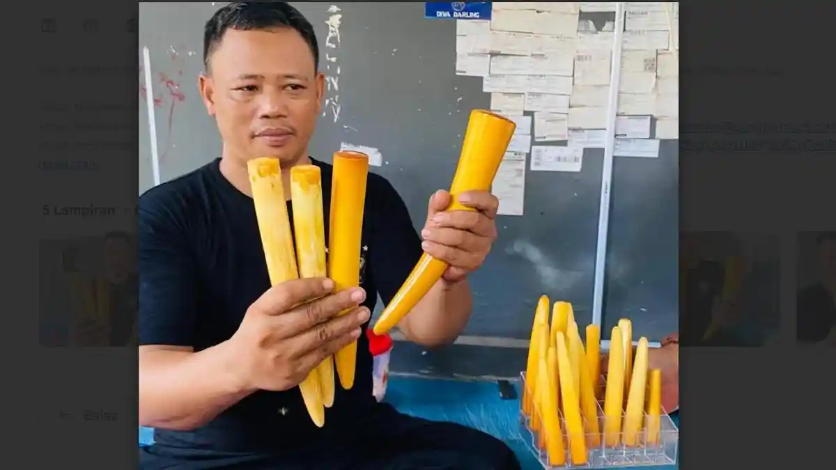 Kisah Diva Darling, Pipa Rokok 'Gading' Buatan Tegal yang Tembus Pasar Amerika dan Jepang