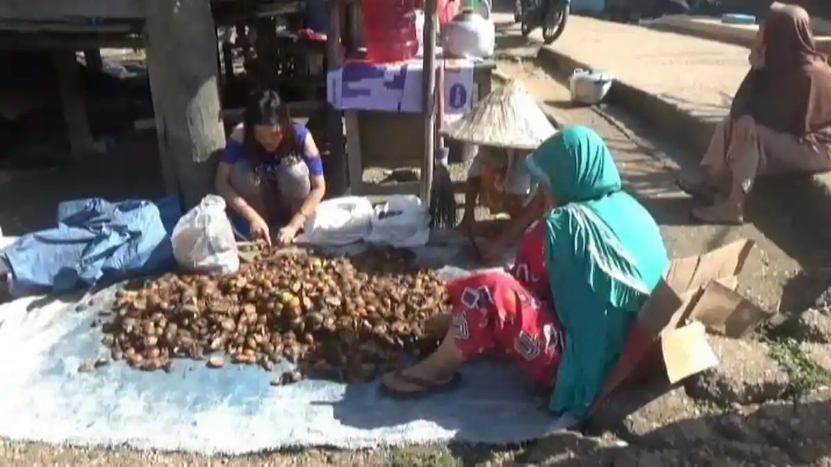 Harga Pinang Turun di Batanghari Berkisar Rp 4.000 Per Kg