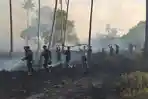 KARHUTLATELUKBUTON.jpg