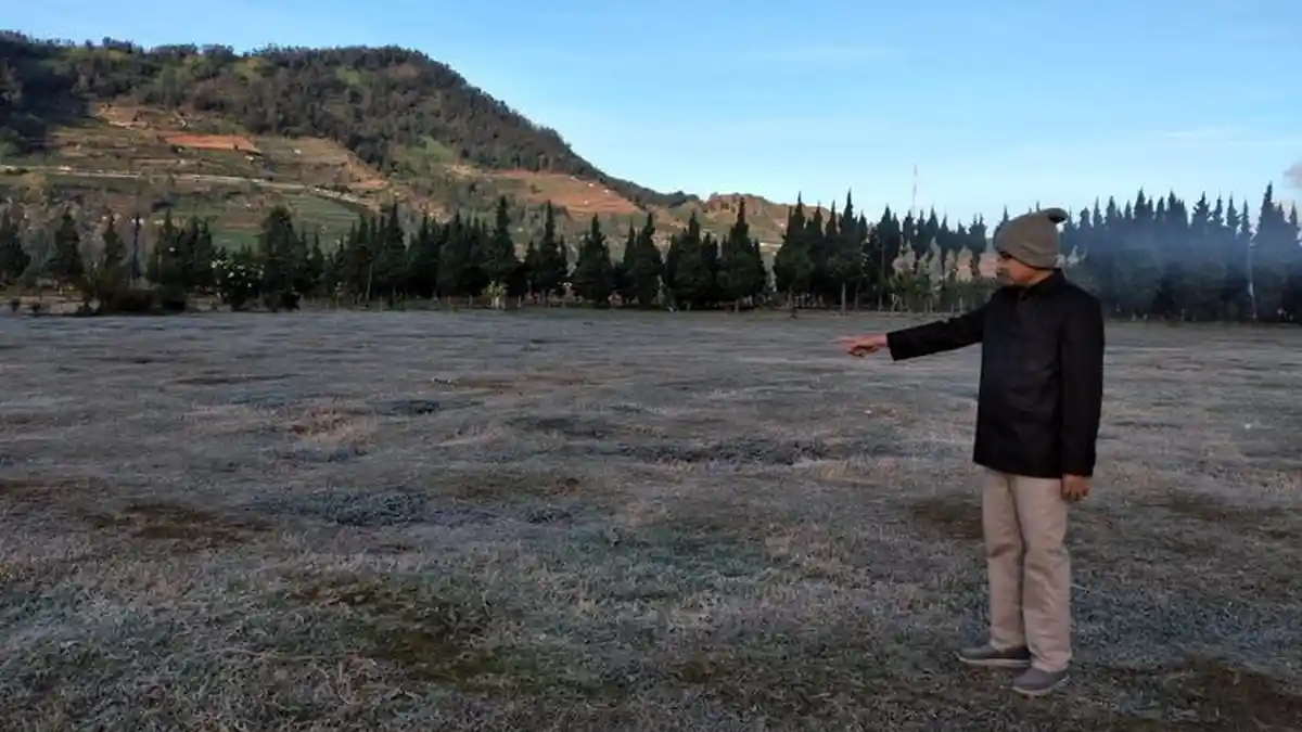 Fenomena Embun Upas Kembali Muncul di Dieng, Suhu Tembus Minus 5 Derajat Celcius