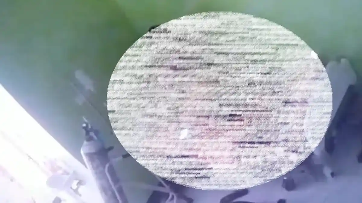 Dua Perawat RSUD Dompu Ditahan karena Sebarkan Video Syur Ruang Covid-19