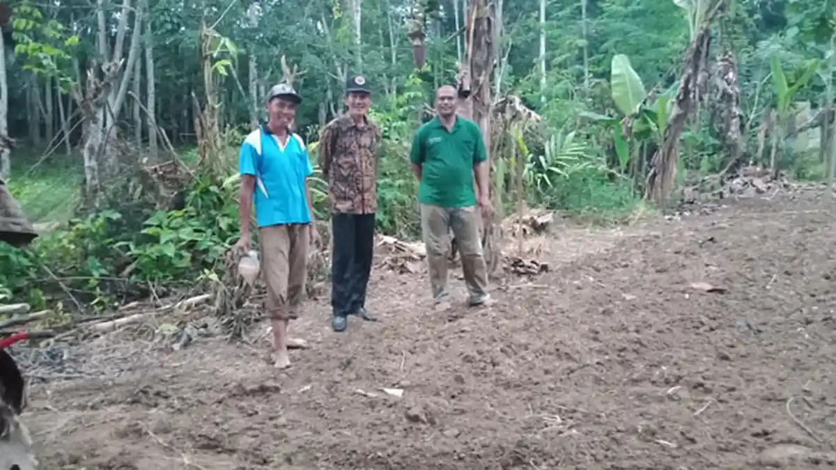 Kembalikan Kejayaan Minyak Nilam, Aceh Tamiang Bekerja Sama dengan ARC dan Australia