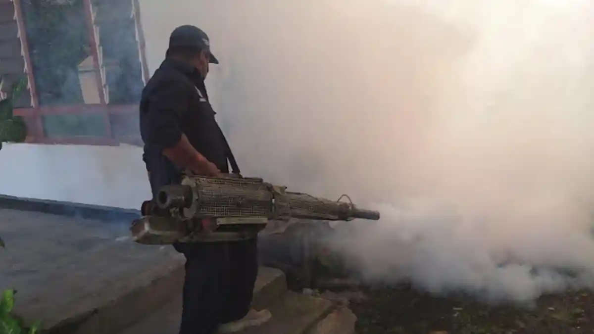 Sepanjang Januari, Sudah 82 Warga Tulungagung Terjangkit Chikungunya