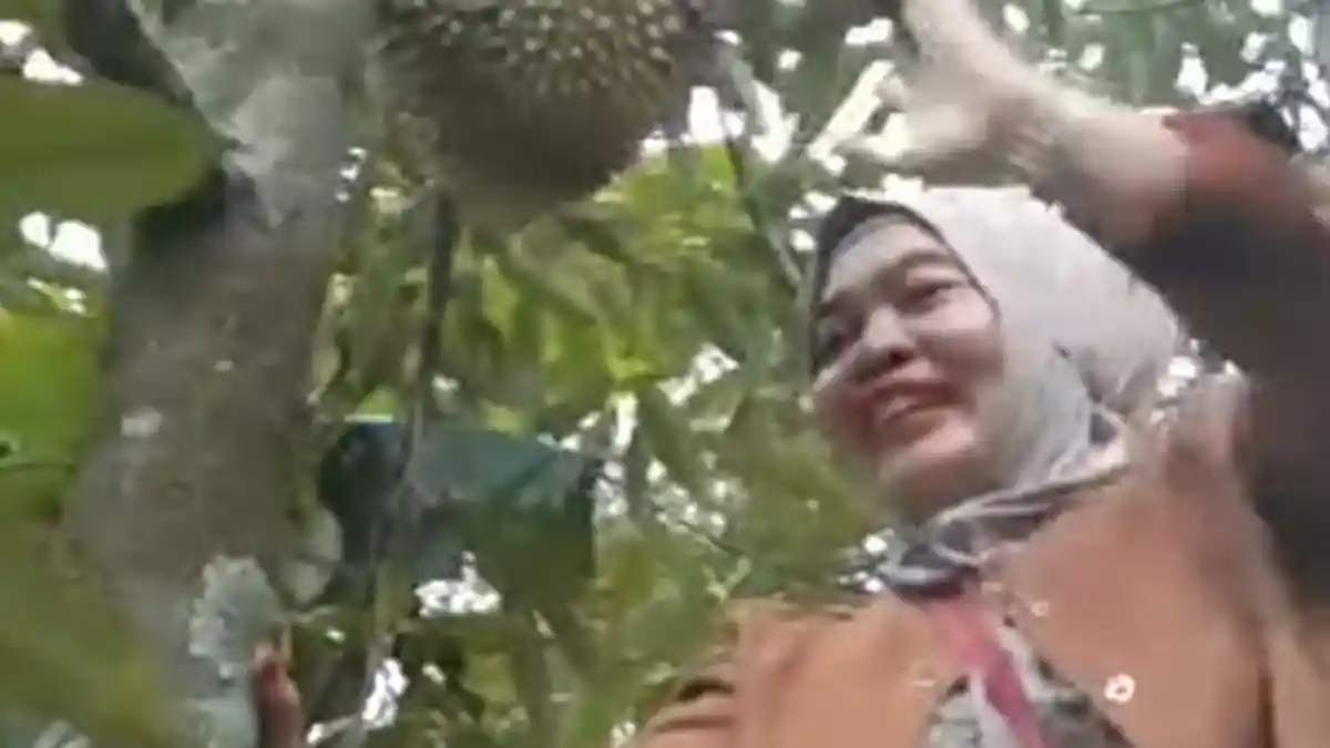Sambil Dikawal Polisi, Ningsih Tinampi Sebut Dirinya Dilamar Juragan, Manjat Pohon Durian: Guyon