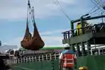 Proses-bongkar-muat-logistik-di-Tanjung-Priok.jpg