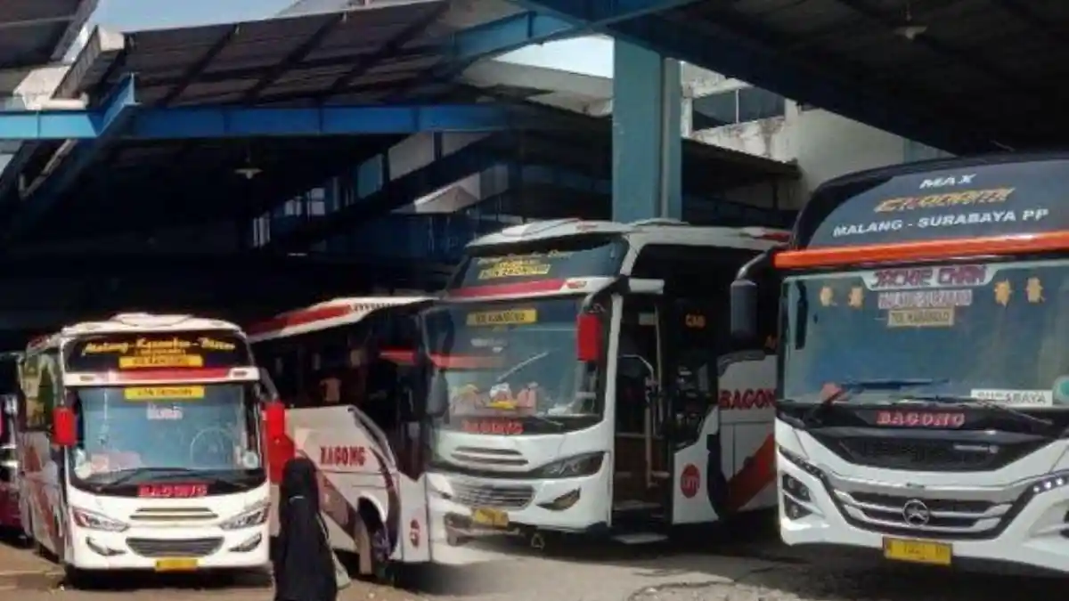 Daftar Promo Bus AKAP Nataru 2025-2026 Potongan hingga Rp30 Ribu, Cek ...