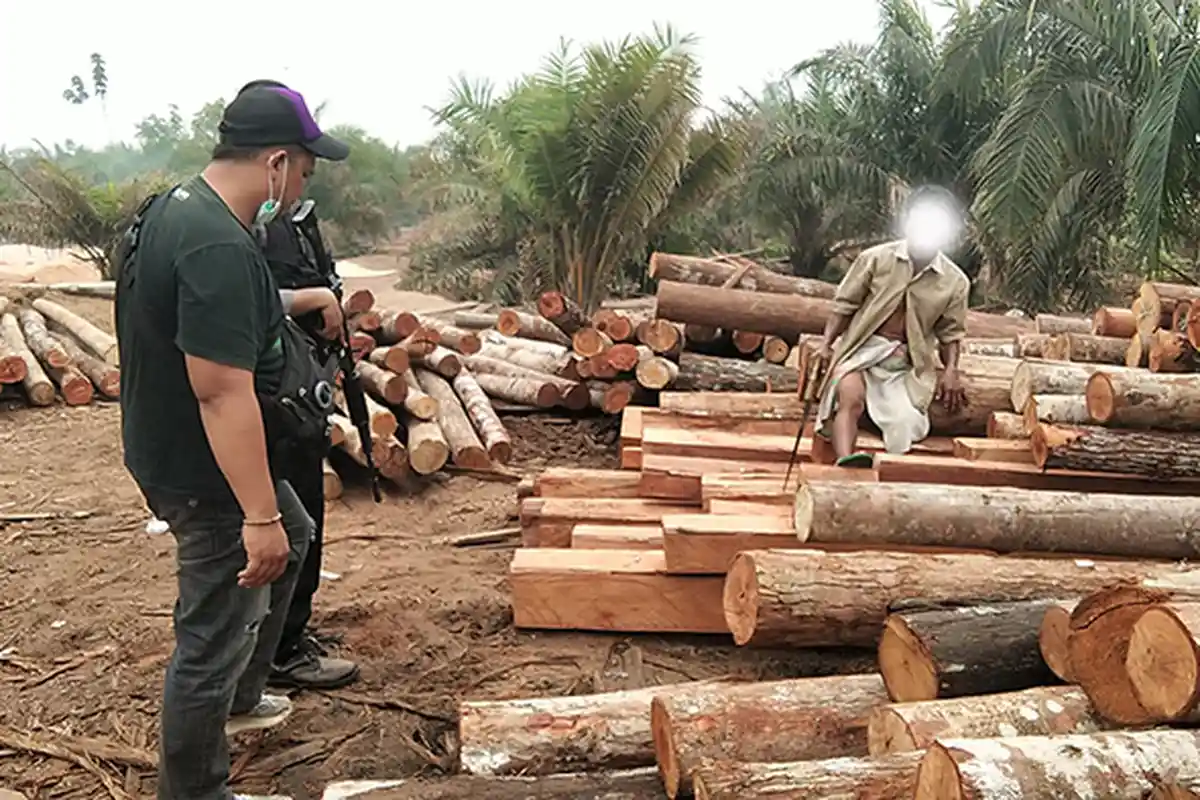 Gerebek Ilegal Logging di Ambawang, Polisi Temukan Sembilan Lokasi