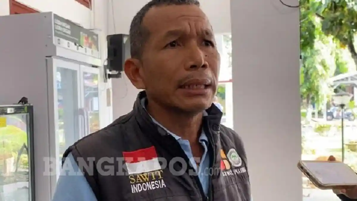 Apkasindo Babel Soroti Harga Sawit Stagnan, Padahal Harga CPO Tembus Rp15.600 per Kilogram - Bangkapos.com