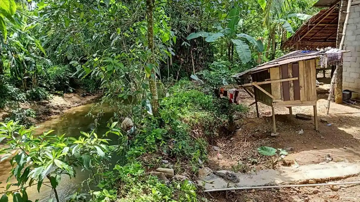 Abrasi Krueng Tangan-Tangan di Abdya Mengganas, Rumah Warga Nyaris Amblas