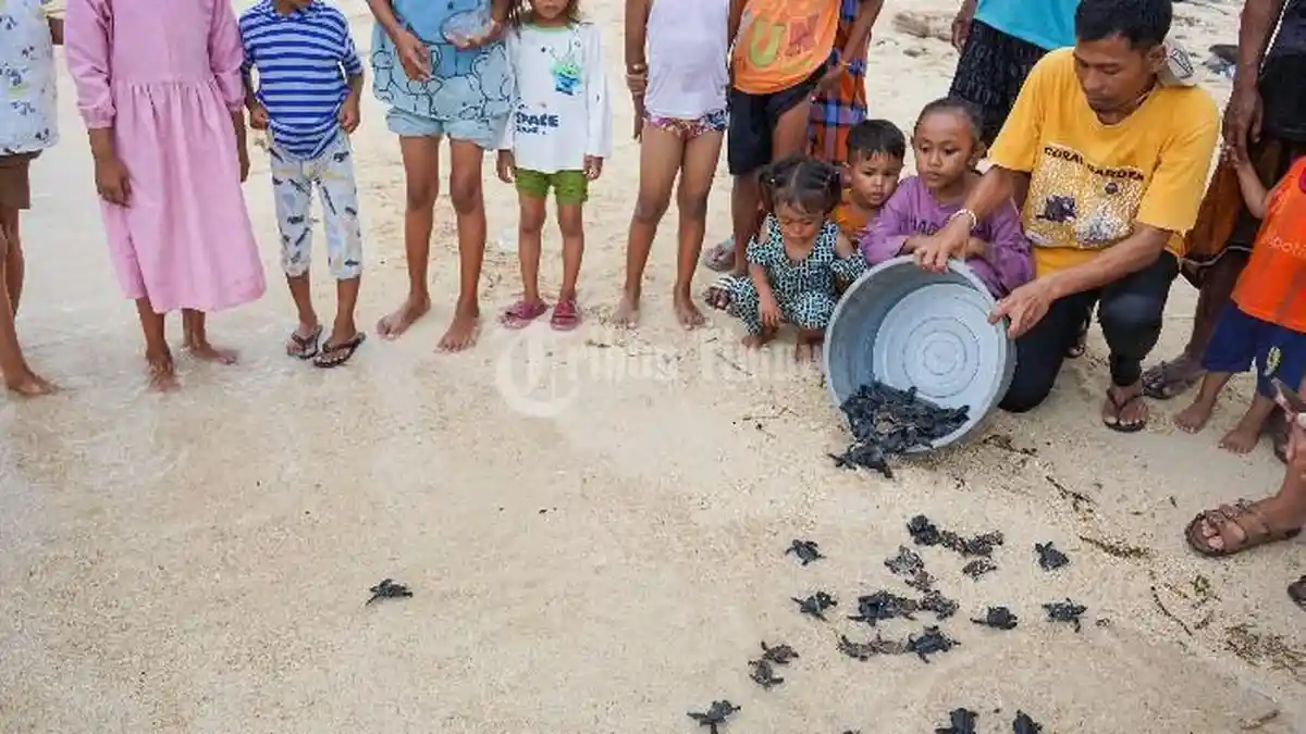 FOTO: Dari Pulau Barrang Caddi, Anak-Anak Diajak Selamatkan Ekosistem Laut - tukik6.jpg