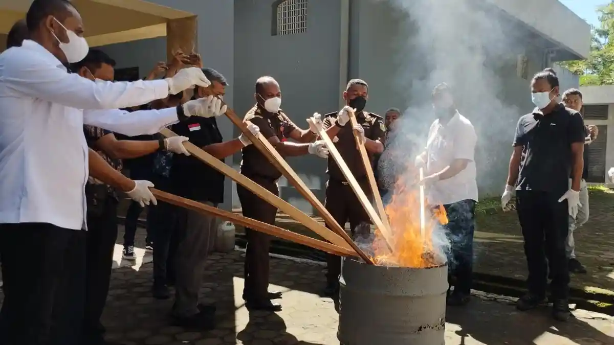 BNN Maluku Bakar 5 Paket Tembakau Sintesis