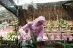 Aktivitas Terpidana Angelina Sondakh di Dalam Lapas Pondok Bambu
