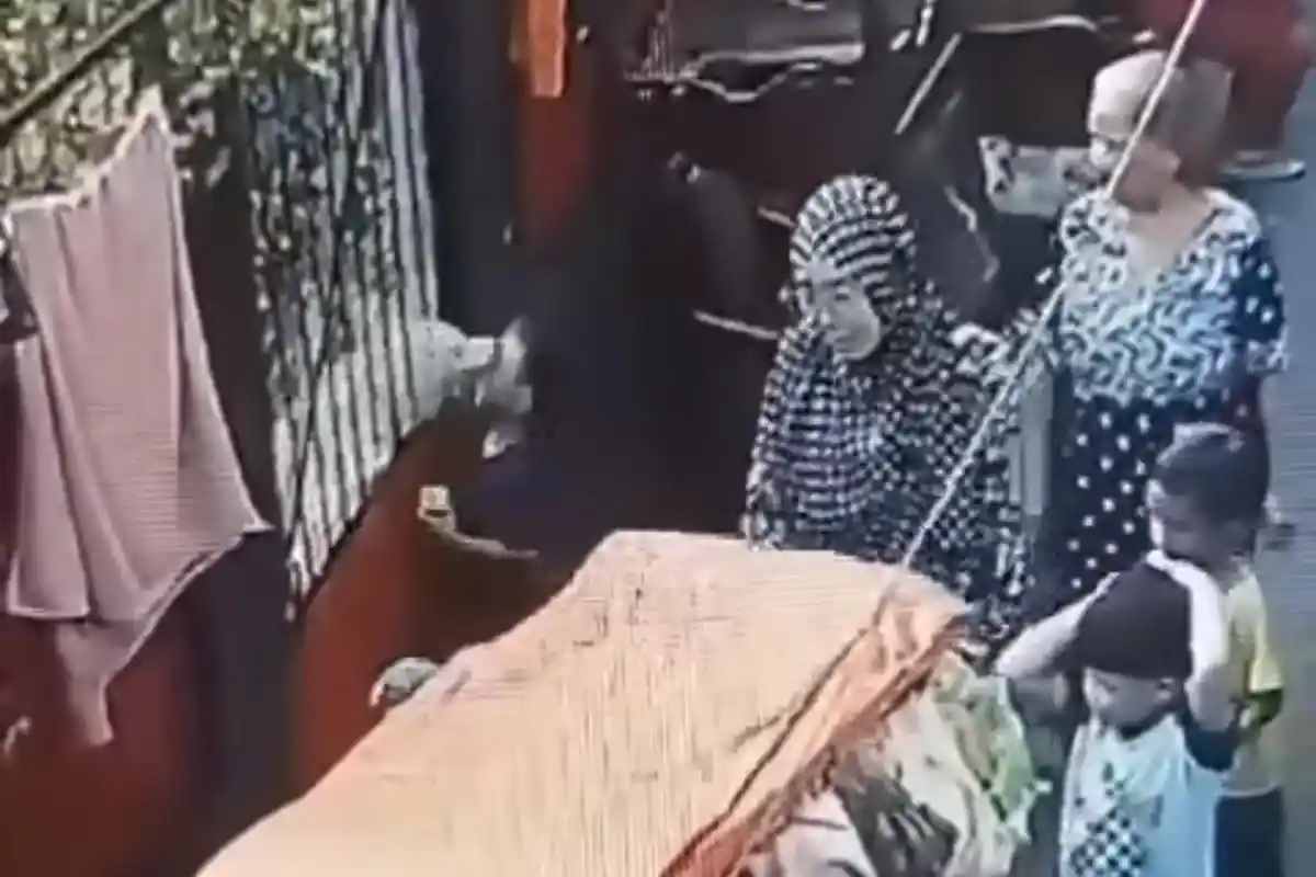 Keluarga Bocah yang Digigit Anjing di Cipulir Tak Lapor Polisi, Pemilik Hewan Tanggung Pengobatan