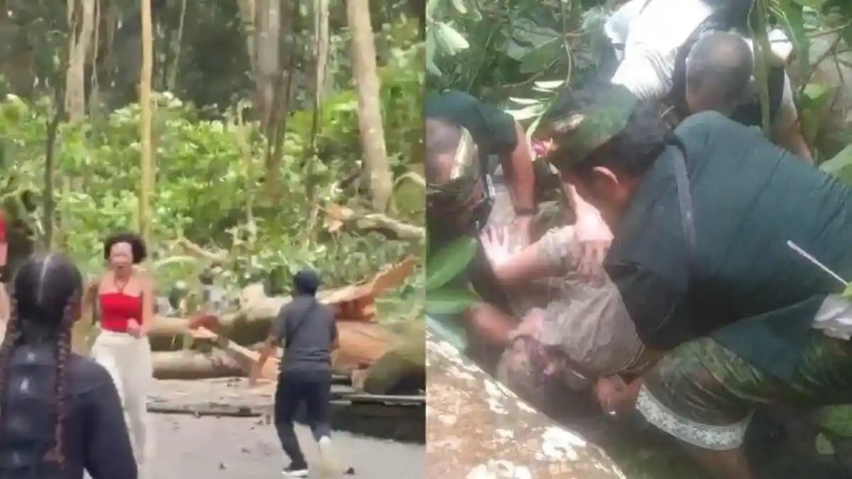 DETIK-DETIK Pohon Sakral Tumbang di Monkey Forest Bali, 2 WNA Tewas Tertimpa, Mendadak Angin Kencang