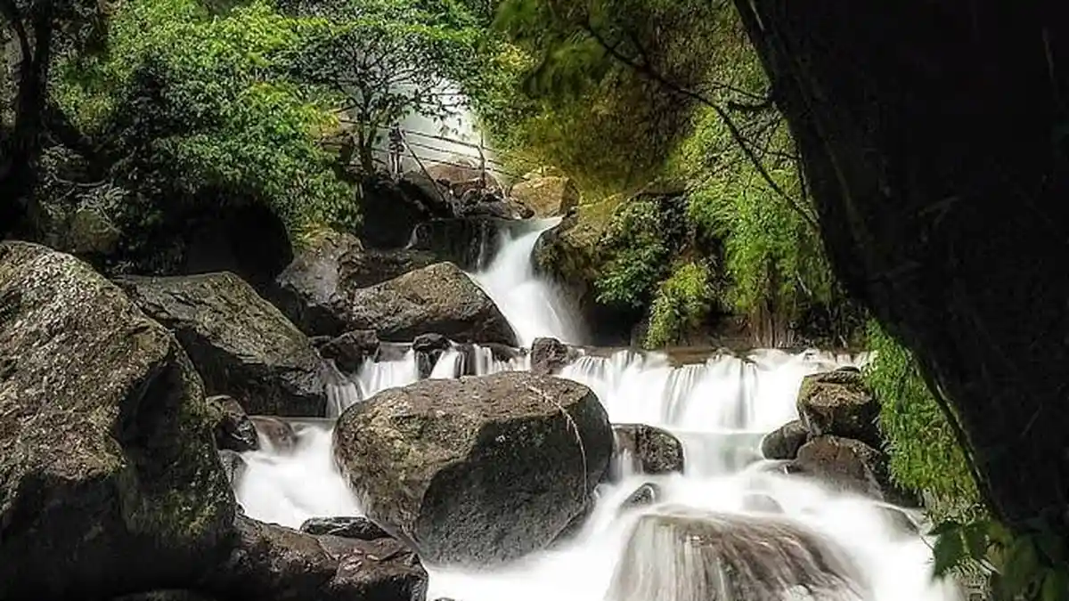 Pesona Curug Ciherang, Tempat Wisata Air Terjun di Bogor dengan Kolam Renang dan Rumah Pohon