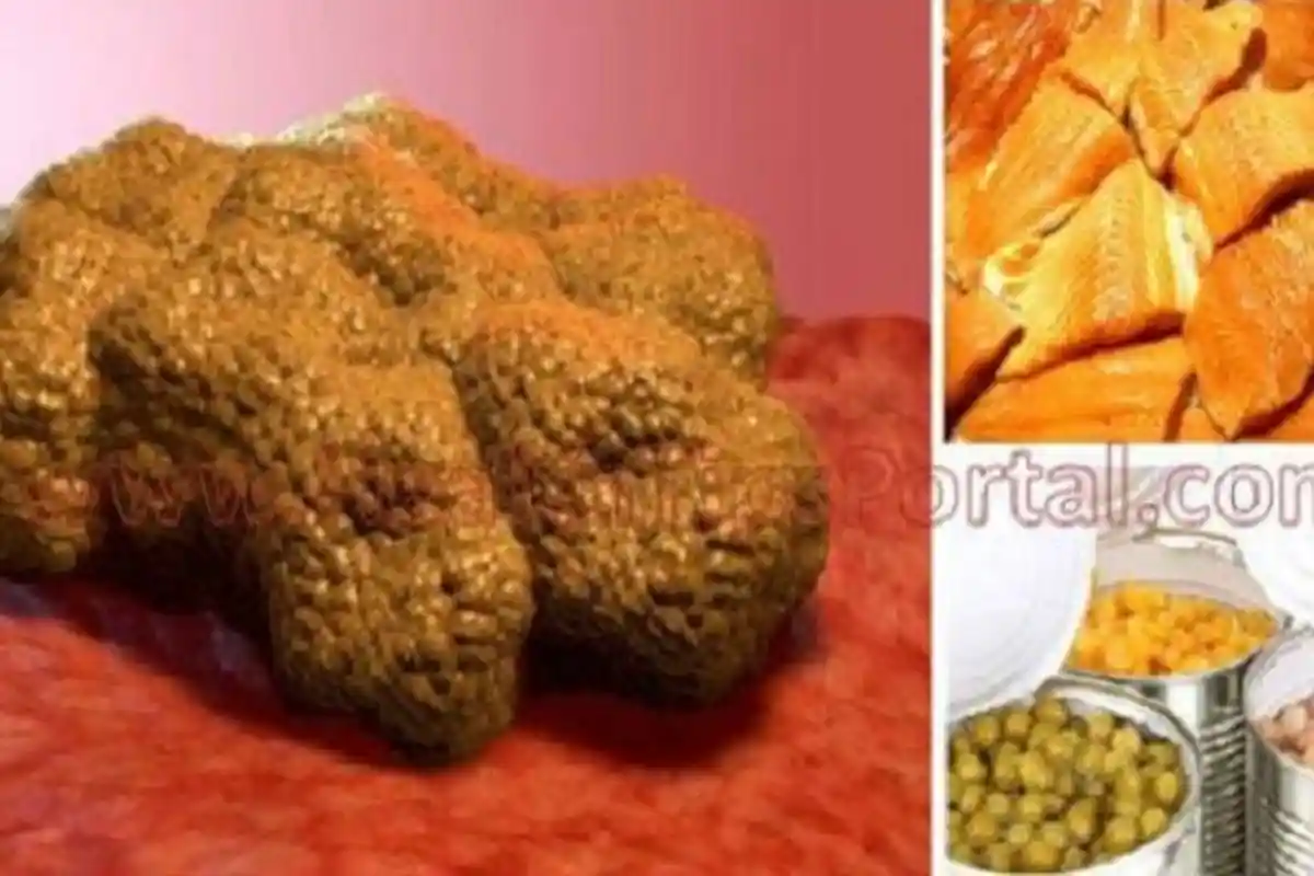 10 Makanan Penyebab Kanker, Banyak Dijual di Sekitar Kita, Anda Termasuk Penikmatnya?