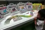 Kampanye Gerakan Ayo Menulis